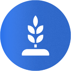 agriculture agriculture